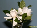flower_ 0022